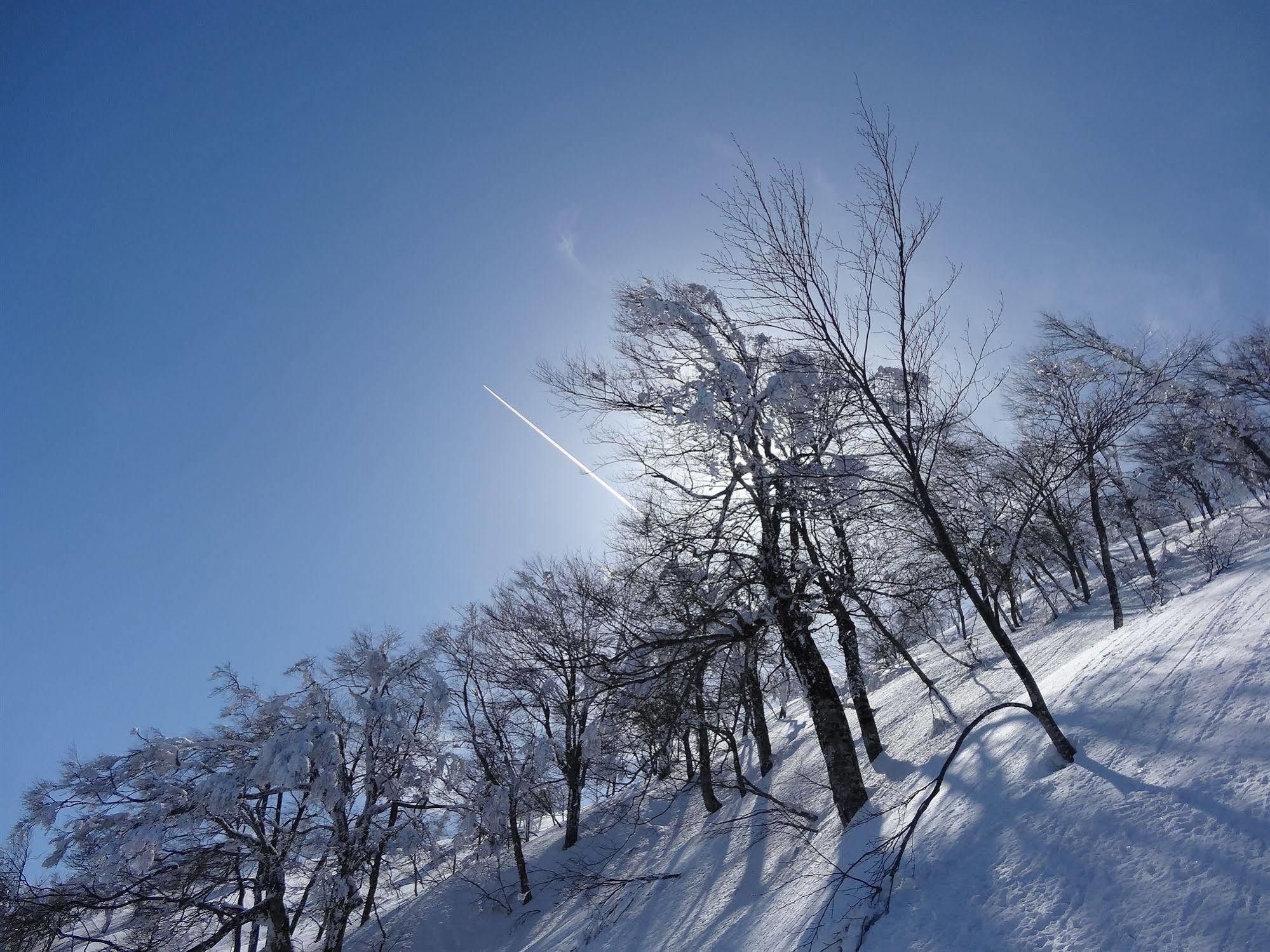 Villa Il Bosco Hakuba Exterior foto